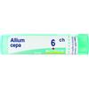 BOIRON Srl Allium Cepa 6CH Boiron Granuli 4g