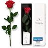 Mia Milano Rosa rossa con gambo lungo (durata 5 anni) in scatola regalo | Regalo decorativo per lei | Fiore conservato con profumo di rosa | Inclusa cartolina regalo