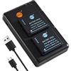 DSTE 2PCS DMW-BLG10 DMW-BLG10E (1500mAh/7.4V) Batteria Caricatore Compatibile per Lumix DMC-GF6,DMC-GX85,DMC-LX100,DMC-TZ80,DMC-TZ81,DMC-TZ100,DMC-TZ101