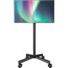 AX WABER Supporto TV da Pavimento per Schermi Plasma/LCD/LED 23-60 Pollici con Ruote, Carrello Staffa Porta Mobile Supporto TV Fino a 40 kg, Max VESA 400 x 400 mm