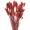 QUARKZMAN 60pz Coda di Coniglio Naturale Fiori Secchi 43cm Mini Erba di Pampa per Decorazioni Floreali Matrimonio Natale, Rosso