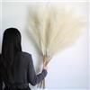 Larber 12 Pezzi Pampas Decorative Alte,115cm Erba Della Pampas Artificiale,Piume Decorative per Vaso,Soggiorno, Camera da Letto, Matrimonio,Arredamento Boho(Beige)