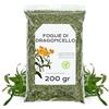 EPEL Dragoncello Foglie Secche 200g - Te di Dragoncello | Con Aroma Intenso e Sapore Leggermente Anisato, Ideale per Condire Piatti e Aggiungere un Tocco Erbaceo alle Ricette