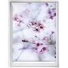 Blindecor Easy Tende senza forature Stampate - Tenda traslucida con stampa digitale, calma, 100 x 150 cm (larghezza per altezza). Dimensioni del tessuto 97 x 145 cm
