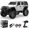 FLYCOLOR RCS24 Fuoristrada 1/24 Camion RC 4x4 Fuoristrada Crawler Veicolo da Scalata Tutto Terreno Camion RC Mostro Telecomandato Auto con Faro Luminoso 2 Batterie Impermeabile Giocattoli Hobby (RTR