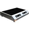 D.L. SERVICE Piastra ad induzione con 2 zone di cottura - Zone induttive ø cm 18 - Potenza 3000W