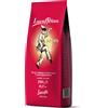 Does not apply Lucaffè - Caffè in Grani Pulcinella 1 Kg | Energy Coffee | Caffè in Chicchi Inte