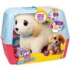 ROCCO GIOCATTOLI LITTLE LIVE PETS LABRADOR INTERATTIVO