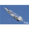 Trumpeter: Chinese J-20 Mighty Dragon in 1:48 [9365811]