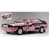SunStar AUDI QUATTRO N.23 FRENCH RALLYCROSS 1987 CATHY CALY 1:18