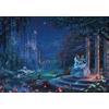 TENYO Disney Cenerentola Dancing in the Starlight puzzle 1000 pezzi 51x73,5 cm JP