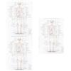 1pc Anatomical Poster Skeletal Anatomy Poster Anatomia umana Immagine Home Decor