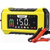 15A Caricabatterie per Auto, 12V 15A/24V 8A Caricabatterie Intelligente Con Com