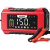 15A Caricabatteria Da Auto, 12V 15A/24V 8A Caricabatterie Intelligente Completam