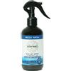 POOL PHARMA SRL ETEREAL SPRAY PER TESSUTI E AMBIENTI IGIENIZZANTE BREZZA MARINA 250 ML