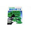 Come coltivare bonsai di serie 2 di lavoro specifico per specie di pino nero ...