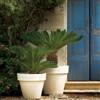Vaso per piante in resina BORDATO LISCIO Ø78 H70 - SERRALUNGA, PIETRA DI MATERA