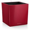 Vaso fioriera CUBE PREMIUM 50x50 H50 con auto irrigazione - LECHUZA, ROSSO SCARLATTO LUCIDO