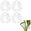 YNR Clip di supporto per piante in acrilico trasparente per Monstera, set da 4 pezzi, design a conchiglia di tartaruga, stabilizzatore per piante rampicanti, per interni ed esterni, supporto a forma