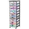 Iris Ohyama Cassettiera in Plastica con ruote, 10 Cassetti Piccoli, Nero, Maniglie facili da tirare, Organizzatore, Per Camera Da Letto, Bagno, Scuola e Ufficio, Senza BPA, Contenitore, DDDC-010