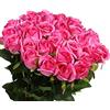 Veryhome 10 Pezzi Fiori Artificiali Rose di Seta Falso Bouquet da Sposa da Sposa per la casa Giardino Partito Decorazioni Floreali (Rosa Rossa, bocciolo di Rose)