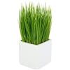 Flair Flower 150452 GN Erba I. pentola plastica, Ceramica, Verde, 9 x 9 x 22 cm