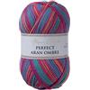 Utopia Crafts Aran Ombre - Filato multicolore per maglieria e uncinetto, 300 g - 600 m (009)