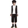 DiULi Costume da Ragazzo Vittoriano, 4PCS Costume Vittoriano per Bambini, Vestito Medievale Bambini, per Carnevale, Festa, Cosplay (Marrone-L)