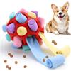 BINYI Tappetino Snuffle Mat per Cani Giochi Interattivi per Cane Indistruttibile Giocattoli Palla da Fiuto per Addestramento per Giochi Cani di Piccola Taglia Media Grandi