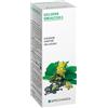 SPECCHIASOL Luppolo 66 50ml tm - SPECCHIASOL - 900540129