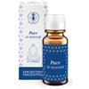 ERBORISTERIA MAGENTINA Srl Essenza pace 6 chakra 10 ml