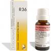 DR.RECKEWEG R36 gtt 22 ml imo - DR.RECKEWEG - 909462487