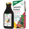 SALUS HAUS Gmbh & Co KG IMMUNO PROTECT 125 ML