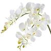 Famibay Fiori Orchidea Finta Ramo Orchidea Phalaenopsis Artificiale Bianca 2 Pz per Casa Decorazione