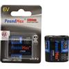 PoundMax Litio CR-P2 (CRP2, 223, DL223A, 6204) Batteria Speciale, 6V | 1x Blister da 1