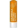 Marco Viti Calendula Stick Labbra Nutriente, 4ml