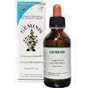 Herboplanet Geminis Gocce 100 Ml
