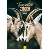 Edition Seidel Calendario Premium Affascinazione capre 2026, formato DIN A3, da parete con animali, fattoria, capra, caprino, calice per animali domestici, natura, amante degli animali, melanie viola