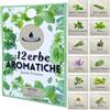 acquaverde Kit 12 Erbe Aromatiche Officinali, Semi di: Basilico, Erba Cipollina, Prezzemolo, Menta, Rosmarino, Salvia, Lavanda, Finocchio, Origano, Valeriana, Camomilla, Timo - Orto Facile