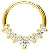 DIPZO Anello Septum 16G, Gioielli per Piercing Daith, Septum Clicker 8mm, Orecchini Helix Tragus Cartilagine in Acciaio Inox, Oro