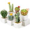 Oairse Set di 6 mini piante finte di cactus artificiali in vasi di ceramica bianca assortiti piante grasse artificiali decorative cactus finti per cucina, bagno, scrivania, libreria, decorazione per interni