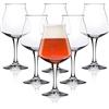 Rastal - conf. 6 Calici Degustazione BIRRA - Mod. TEKU 3.0 - 42,5 cl (14,8 oz)