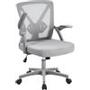 Yaheetech Sedia da Ufficio Scrivania Ergonomica Lombare Regolabile Grigia | Braccioli Ribaltabilie, Ruote Girevole, Traspirante, Schienale Reclinabile, Altezza Regolabile, Funzione Dondolo, Camera