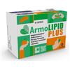 MEDA PHARMA SpA ARMOLIPID PLUS 60CPR ED LIM 24