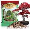 GOTVUGE Terriccio per bonsai di alta qualità con aerazione e drenaggio migliorati, terriccio di grado professionale per bonsai (2 l)