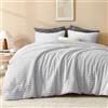 Andency Set di biancheria da letto per letto queen size, soffice e super morbido, grigio chiaro, per letto queen size, in caldo pile invernale, set di biancheria da letto in pelliccia sintetica, 3