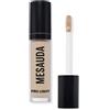 Mesauda Correttore Liquido Pro Light C10