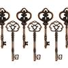 Makhry Misto 20 Scheletri Extra Grandi in Argento Antico - Set di Chiavi 20-3 1/4