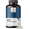 HealthyWorld NAC 500 mg/Giorno - N-Acetilcisteina - 180 Capsule - 6 Mesi | Per un Supporto Ottimale del Corpo - Alta Concentrazione, Ottimo Assorbimento - Senza Coloranti Artificiali