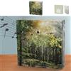 Cepewa Soundbox Forest Sensore di Movimento | 12 x 12 x 3,5 cm Cartone Plastica | Volume del Canto degli Uccelli Regolabile (1 x Soundbox Forest)